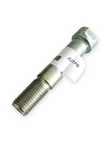 Tornillo polea baja 209