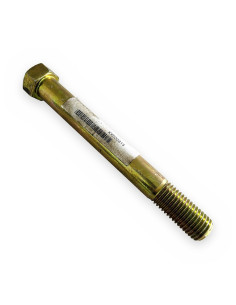 Tornillo M20x170