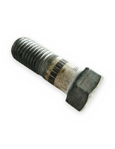 Tornillo 20x55
