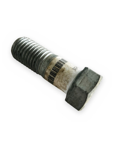 Tornillo 20x55