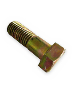 Tornillo chasis ES 24x70mm