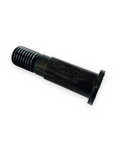 Tornillo perno principal