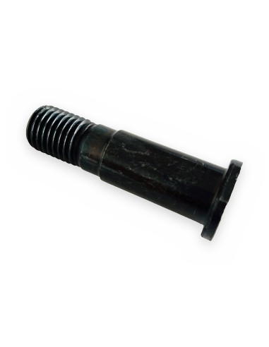 Tornillo perno principal