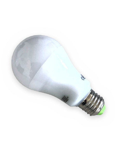 Lámpara estándar led 11w E27 12/24v 5K 1000lm