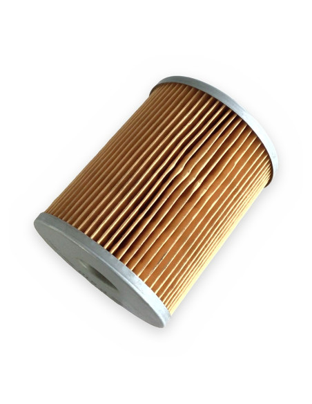 Filtro gasoil Mann P810x