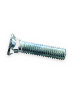 Tornillo cab. ovalada 10x45 8.8 DIN 607