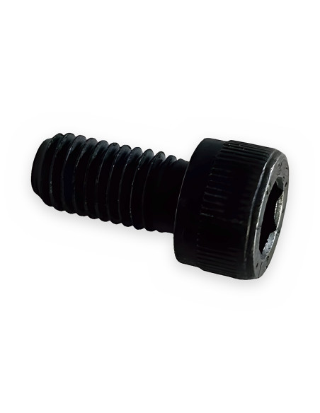 Tornillo 10x20 12.9  Allen cab cilíndrica DIN 912