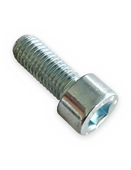 Tornillo allen 10x25 8.8 c/cilíndrica DIN 912 zincado