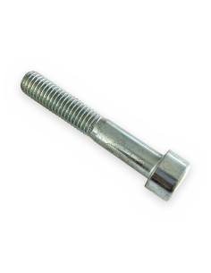 Tornillo allen 10x60-8.8 cabeza cilíndrica DIN 912