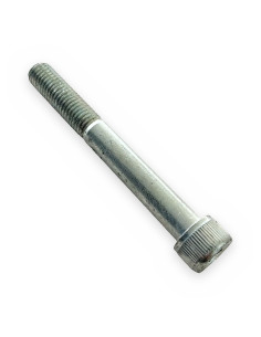 Tornillo allen 12x100 8.8 cab.cilíndrica DIN 912