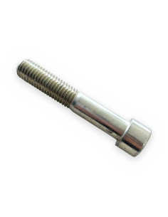 Tornillo allen 14x80 8.8 c/cilíndica DIN 912