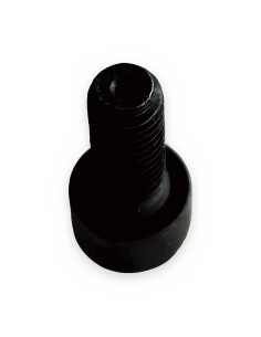 Tornillo Allen 5x12-8.8 cab. cilíndrica DIN 912