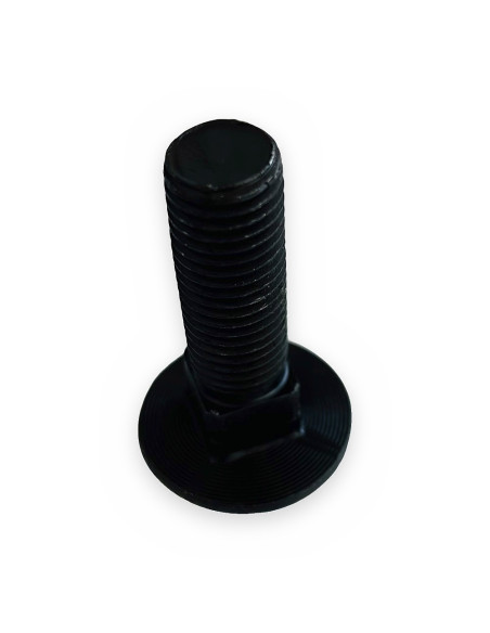 Tornillo cabeza redonda c/cuadrado 16x55 8.8  DIN-603