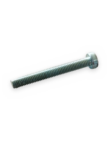 Tornillo 5x40 ranurado cab cilíndrica DIN 84