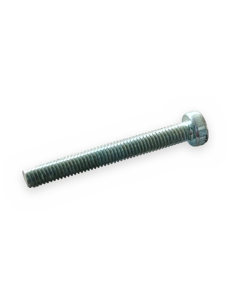 Tornillo 5x40 ranurado cab cilíndrica DIN 84
