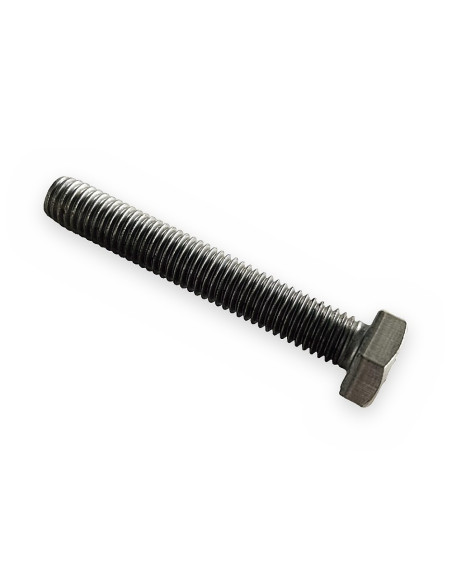 Tornillo M10x65/A2-70