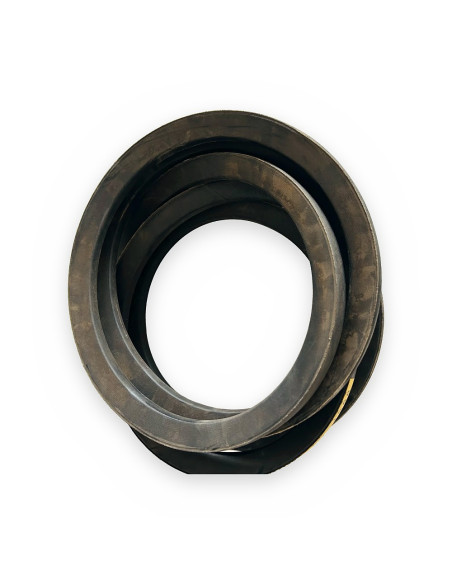 Correa 25x4826 8V4826 8V-1900 trapecial