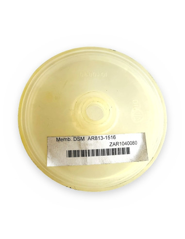 Memb. DSM  AR813-1516