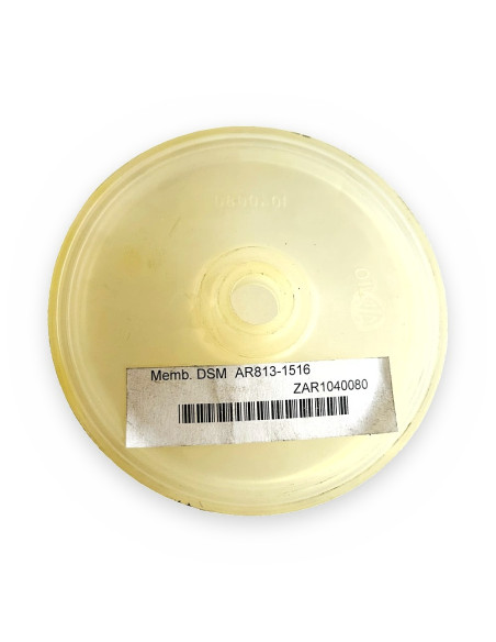 Memb. DSM  AR813-1516