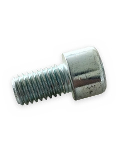 Tornillo Allen 12x20 8.8 c/cilíndrica DIN912