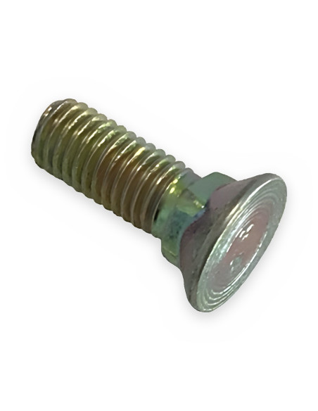 Tornillo 10x30-8.8 p/placa desgaste cabeza avellanada cuello cuadrado DIN 608