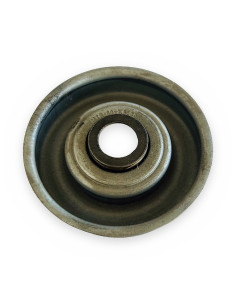 MTR-60x2.5.30-2.12 tapón 73 MAN-12 rodam. p/rodillo