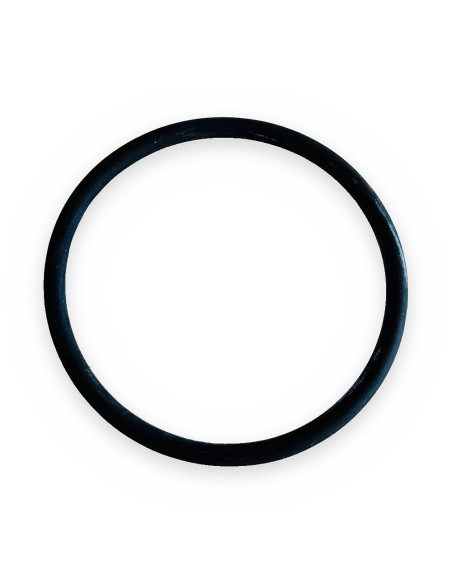 Tórica filtro 322-4/324-4 (53,57x3,53) EPDM (en línea baja presión autolimpiante)