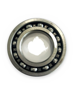 Rodamiento 16006