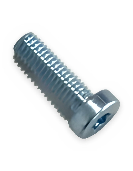 Tornillo CX M3x10 carcasa Prunion