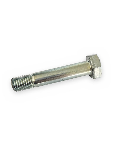 Tornillo 12x60-10.9