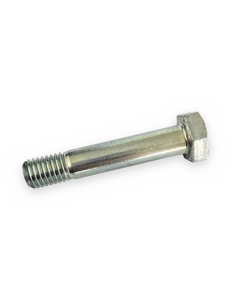 Tornillo 12x60-10.9
