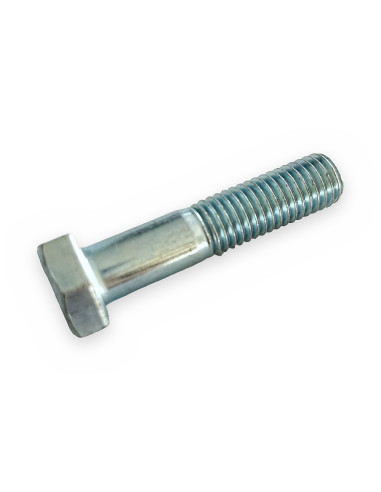 Tornillo 931 12x55