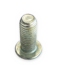 Tornillo 10x25 zincado DIN-7380 gota de sebo