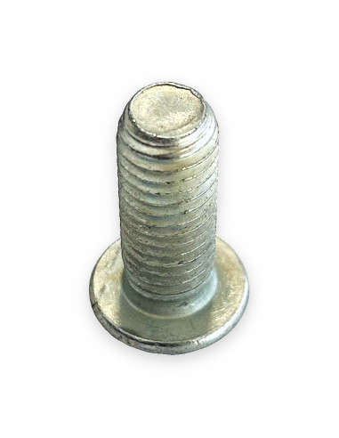 Tornillo 10x25 zincado DIN-7380 gota de sebo