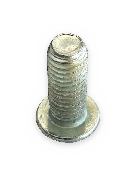 Tornillo 10x25 zincado DIN-7380 gota de sebo