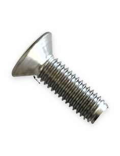 Tonillo M-5x16 inox