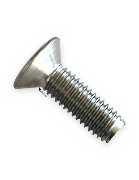 Tonillo M-5x16 inox